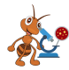 hormiga-cientifica